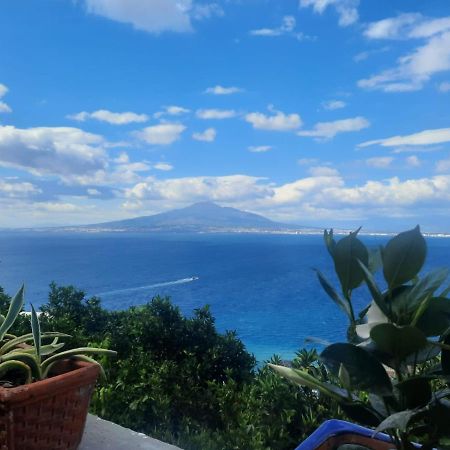 La Torretta Sea View Rooms Vico Equense Eksteriør billede