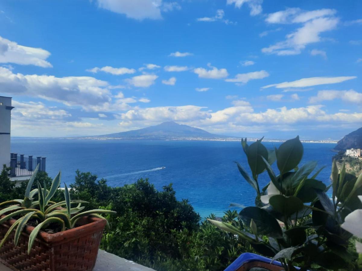 La Torretta Sea View Rooms Vico Equense Eksteriør billede